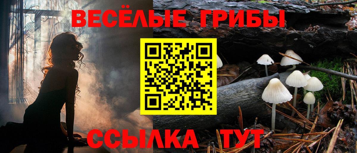 Галлюциногенные грибы мицелий  Вход с VPN  Балтийск 